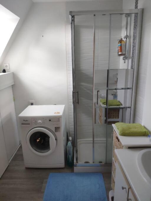 Le Tropica Appartement 2 Chambres, Plein Sud Centre Ville De Vitre Buitenkant foto